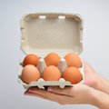 „Maxima“ nuo 2025-ųjų nustos prekiauti narvuose laikomų vištų kiaušiniais