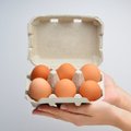 Kiaušinius valgyti sveika, tačiau ne per daug: atsakė, kiek jų rekomenduojama suvalgyti per savaitę