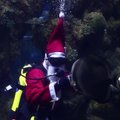 Kalėdų Senelis nusprendė akvariume aplankė gerai besielgusias žuvis