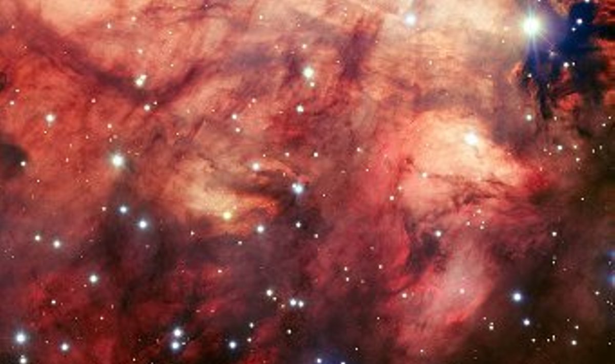 Туманность Омега. Фото ESO/VLT