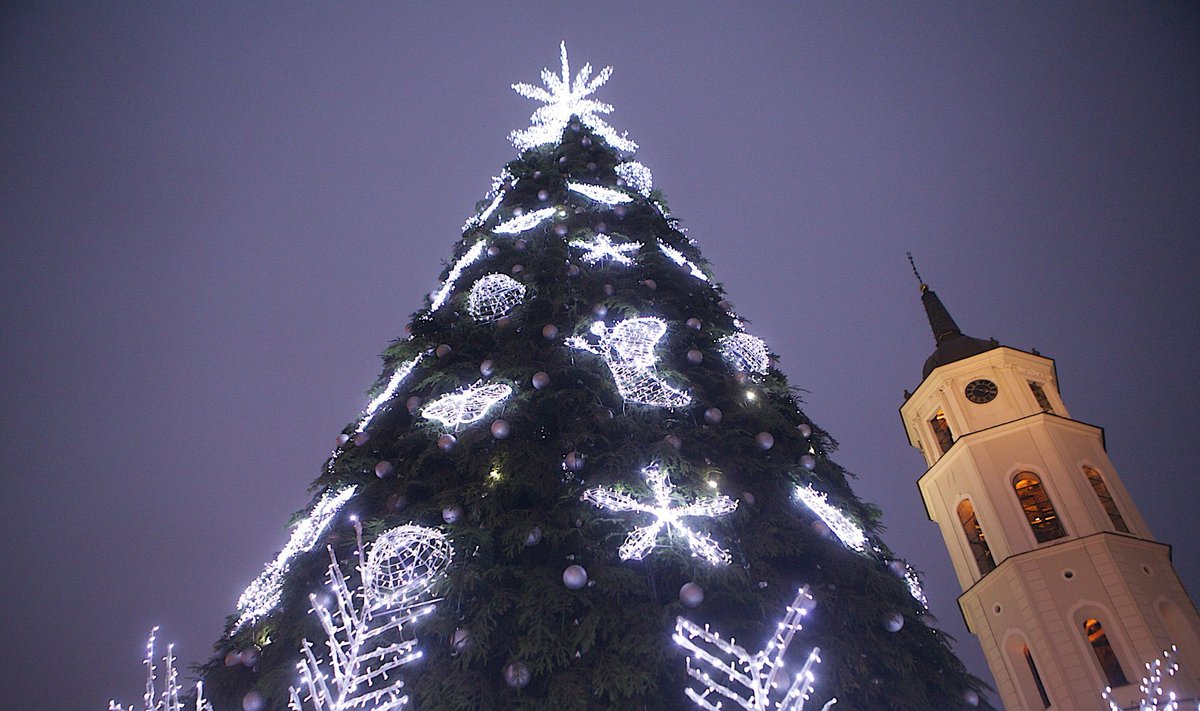 Kalėdų eglutė Vilniaus Katedros aikštėje