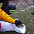 Italijoje ugniagesiai išgelbėjo iš ledinio vandens lapę