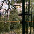 Stiprus vėjas ir lietus siaubė miestą: Vilniuje nukentėjo ir automobiliai, ir gatvės