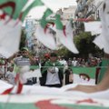 Noro dalyvauti Alžyro prezidento rinkimuose neišreiškė nė vienas kandidatas