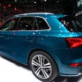 „Audi” koziris Paryžiuje: naujasis „Q5“