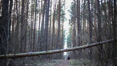 Šiaulietis pasakojo patyręs tikrą košmarą: išvežė į mišką ir ten talžė