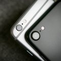 Šių metų iPhone SE gaus unikalų dizainą
