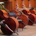 Į Vilnių orkestras „Kremerata Baltica” grįžta kartu su italų violončelės virtuozu M. Brunello