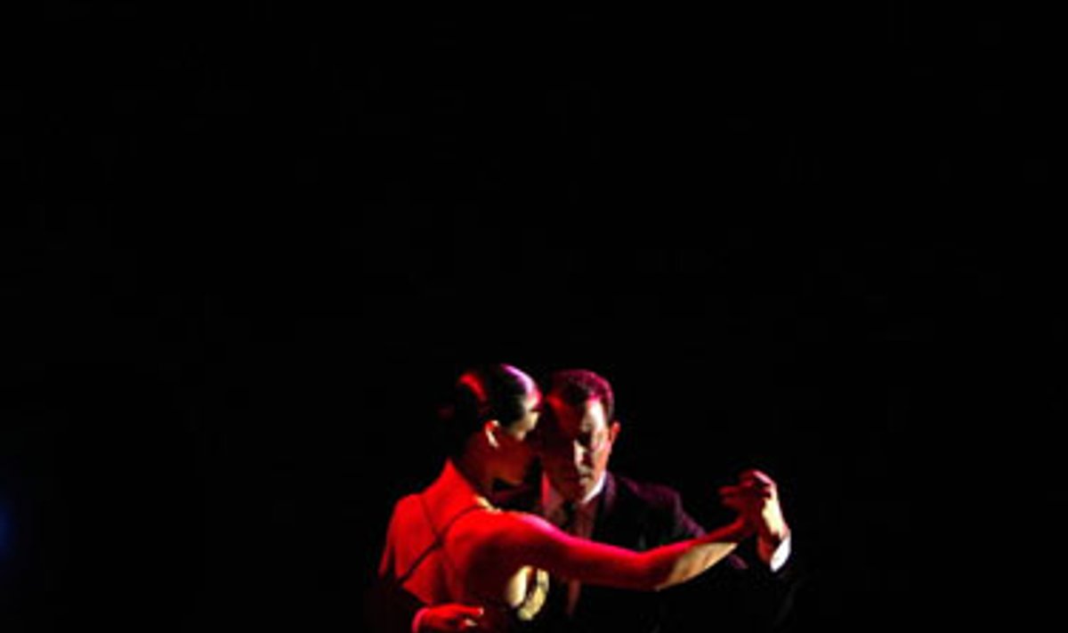 Pora šoka tango Tango kongrese, Majamyje, JAV. Tango šokėjų grupės vis populiarėja Majamio mieste. Grupės žmonių šoka šį argentinietišką šokį netgi vidury savaitės iki 2-3 val. nakties.