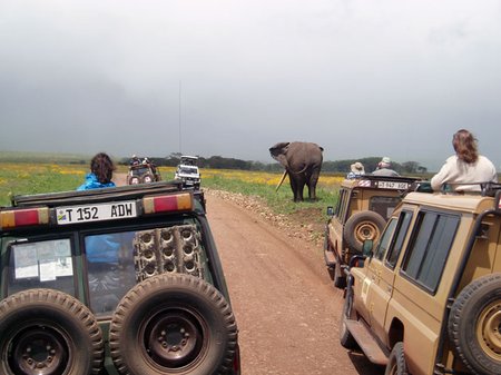 Safaris, Tanzanija