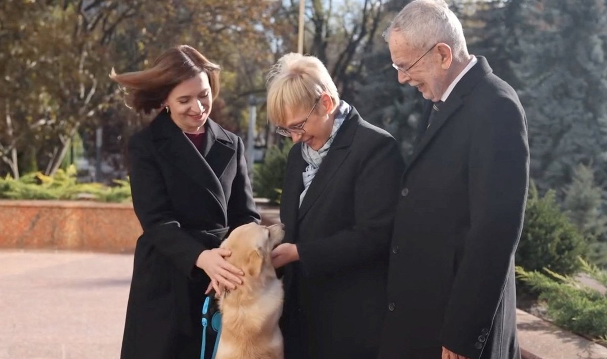 Moldovoje Austrijos lyderiui įkando prezidentės šuo