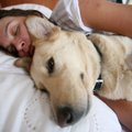 Tyrimas parodė, kiek žmonių miega su savo šunimis