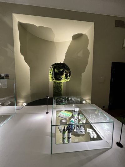 Eglės Grėbliauskaitės, Agnės Gintalaitės projektas „Nepamirškime nebeprisiminti“, instaliacija Nacionaliniame M. K. Čiurlionio dailės muziejaus parodoje ,,Žalia“ 