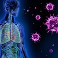 Imunologas apie pražūtingą procesą organizme: teoriškai gali paveikti net vakcinų veiksmingumą