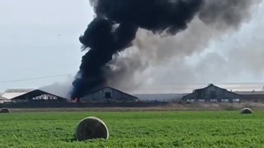 Pasvalio rajone užsiliepsnojo ferma ir padangų krūva, nukentėjo ugniagesys
