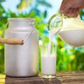 Литва в Эстонии закупает наполовину меньше молока