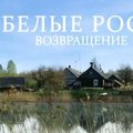 В Вильнюсе - презентация белорусского фильма "Белые росы. Возвращение"