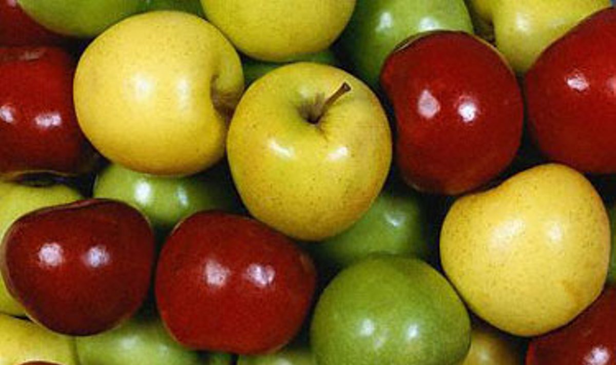 Obuoliai, maistas, vaisiai