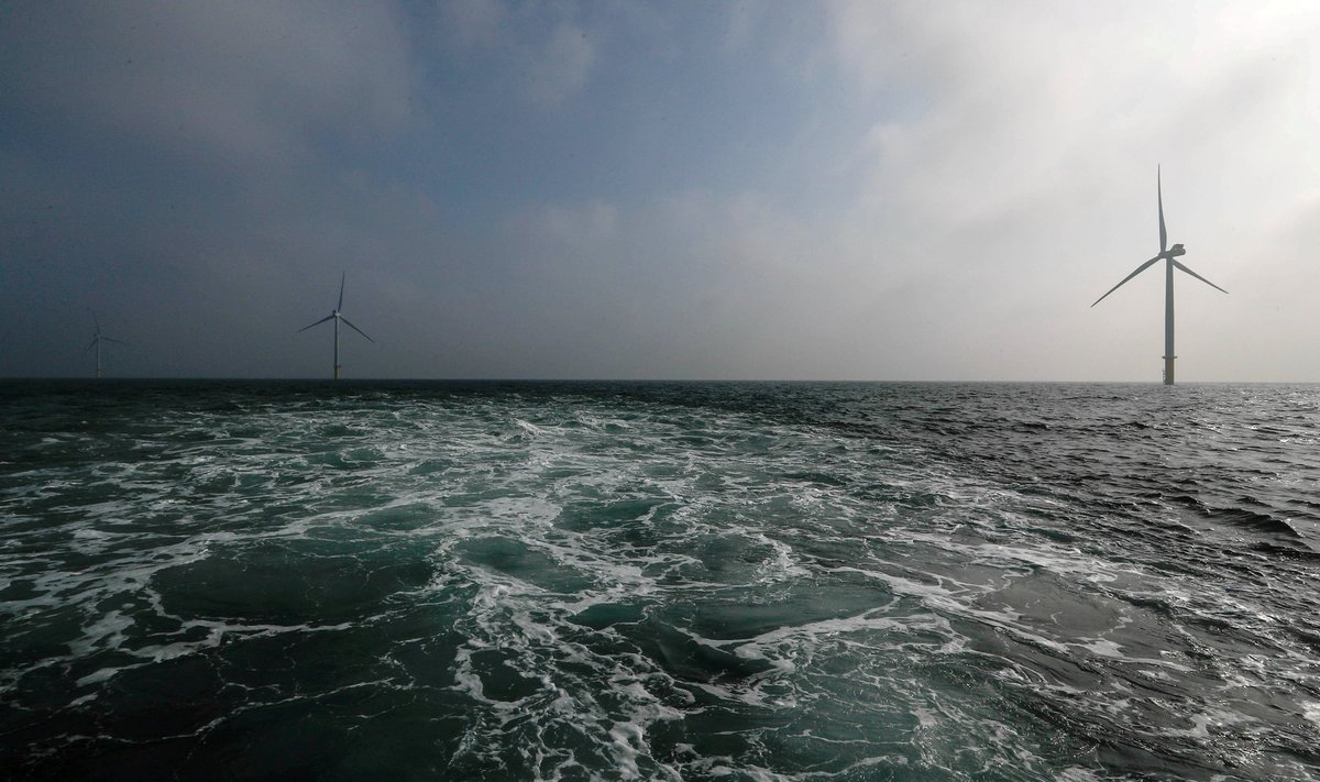 Vėjo jėgainės jūroje