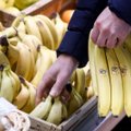 Jus šokiruos, kur buityje galima panaudoti pernokusį bananą