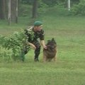 Dresavimo mokykloje Ukrainoje rengiami  šunys policijai, pasienio ir saugos tarnyboms
