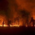 Miškų gaisrų prakeiksmas: dega ir Indonezijos atogrąžos