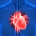 Širdies nepakankamumas: ar lengva išmokti gyventi su šia liga?