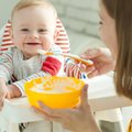 Vaisių ir daržovių tyrelės – pirmasis kūdikių maistas: išmokite pasigaminti namuose
