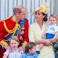 Po princo Harry ir Meghan Markle pasitraukimo – nauji karališkieji titulai Williamui ir Kate