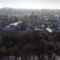 Vilniaus medžius stebės palydovai ir dirbtinis intelektas