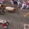 Per pirmą bulių bėgimą Pamplonoje sužeisti 4 žmonės