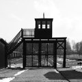 Už ką lietuviai buvo kalinami Štuthofo koncentracijos stovykloje?