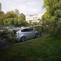 Grinda įspėja dėl stipraus vėjo: nestatykite automobilių po medžiais