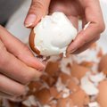 5 gudrybės, kurios jums padės nulupti kiaušinius daug greičiau