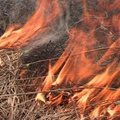 Reidas Vilniaus rajone: pareigūnai ieškojo žolės degintojų