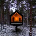 Išskirtinio dizaino ir architektūros namai užkariauja pasaulį: šiuolaikinis komfortas miško viduryje
