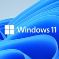 „Windows“ naudotojams – ekspertų patarimai: ką būtina žinoti apie naujausią programinės įrangos versija