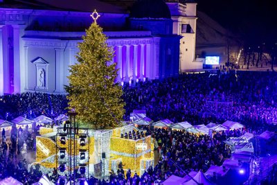 Vilniaus Kalėdų eglė