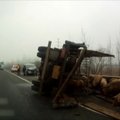Rytų Kinijoje apvirto sunkvežimis su 50 kiaulių