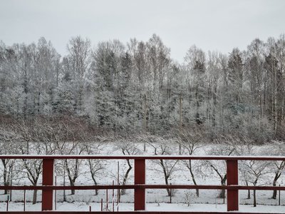 Sniegas Panevėžio rajoje, nuotr. Edita Kalinauskienė