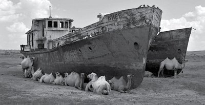 Aralo jūros ekologinė katastrofa