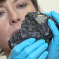 Ištyrė meteoritą – rado ženklų, kad Marse galėjo egzistuoti gyvybė