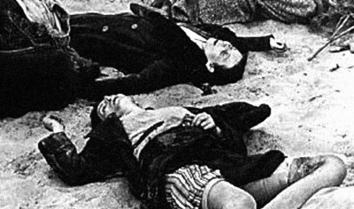  Vokiečių moterų likimas sovietams užėmus Vokietiją. Leidyklos „Briedis“ nuotr.
