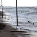 Apžvelgė audros padarinius: Palangai prognozuoja Venecijos likimą