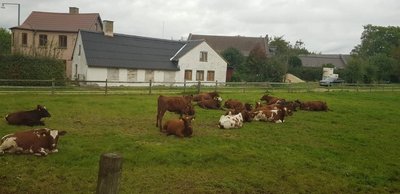 Danijos ūkiai