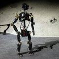 Robotas-beždžionė gali atsistoti ant dviejų kojų