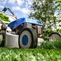 Savaitgalį planuojantiems žolės pjovimo darbus – kaip teisingai ją tvarkyti