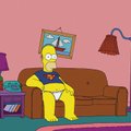 Комиссия ЛРТВ: сериал "Симпсоны" может плохо влиять на детей, пропагандируется многоженство