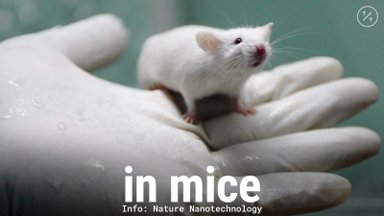 Testai, įspėjantys apie augančius navikus pelių audiniuose