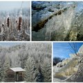 Spėjo pagauti žiemą: užburiantys gamtos vaizdai